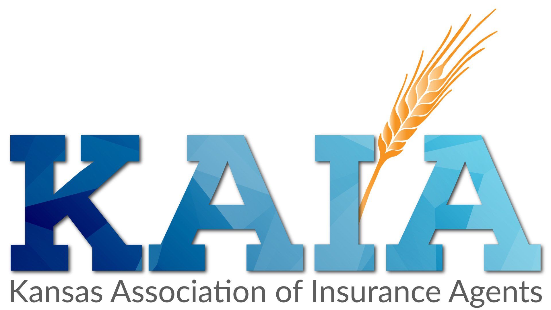 Kansas Association of Professional Insurance Agents, Insurance Services Group ISG Chock Chapple